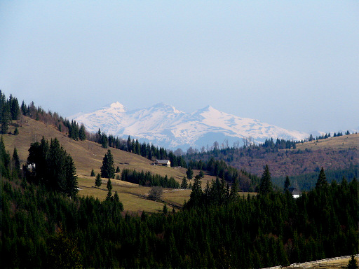 Caliman Mountains