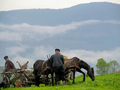 Harnessing up in the Carpathians