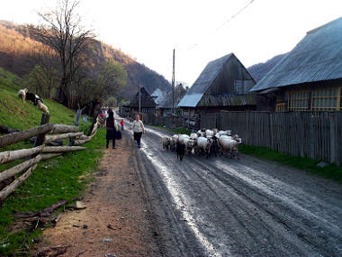Village in Maramures, Romania