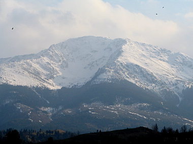 Rodna Mountains