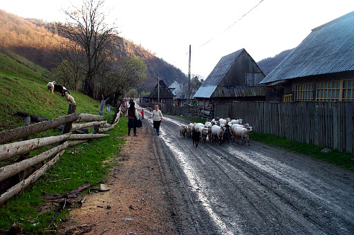 Carpathian Biosphere Reserve Museum