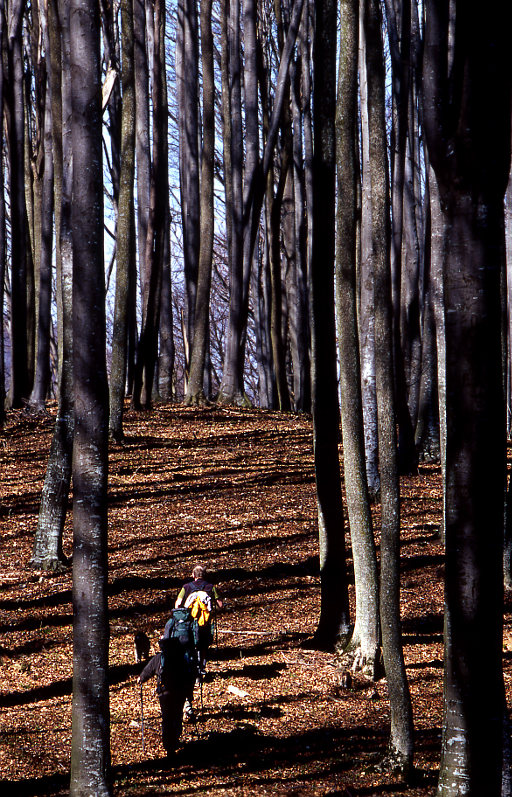 Power hiking